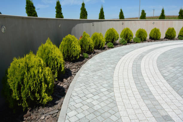 Best Interlocking Driveway Pavers  in La Grange, NC