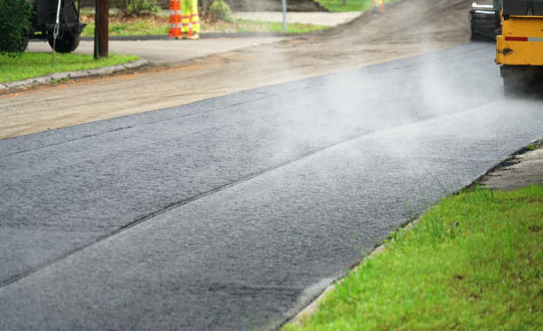 Best Driveway Paver Repair  in La Grange, NC